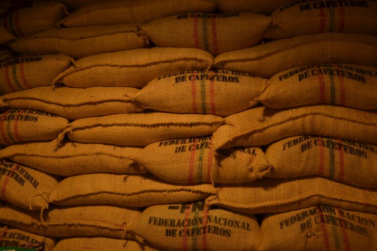 Rows of coffee bean sacks from Federación Nacional de Cafeteros in a Colombian warehouse